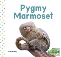 Mini Animals: Pygmy Marmoset