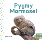 Mini Animals: Pygmy Marmoset