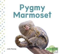 Bertrand.pt - Mini Animals: Pygmy Marmoset