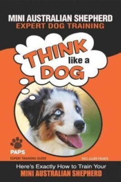 Bertrand.pt - Mini Australian Shepherd  Expert Dog Training