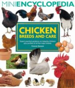 Bertrand.pt - Mini Encyclopedia Of Chicken Breeds And Care