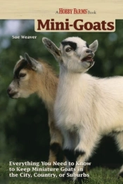 Mini-Goats