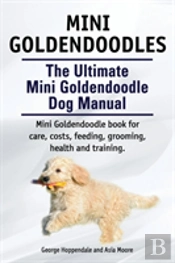 Mini Goldendoodles. The Ultimate Mini Go