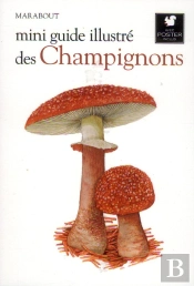 Mini Guide Illustré Des Champignons