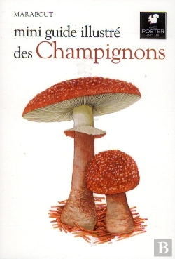 Bertrand.pt - Mini Guide Illustré Des Champignons