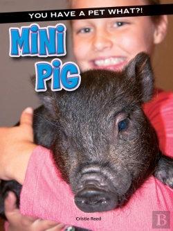 Bertrand.pt - Mini Pig