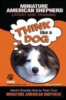 Miniature American Shepherd   Expert Dog Training