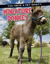 Miniature Donkey