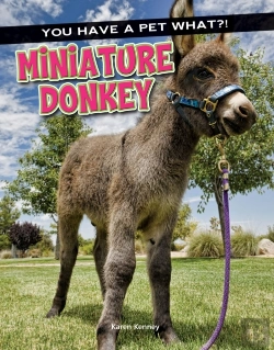 Bertrand.pt - Miniature Donkey