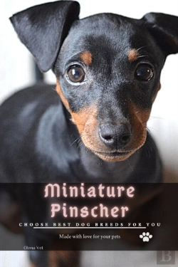 Bertrand.pt - Miniature Pinscher