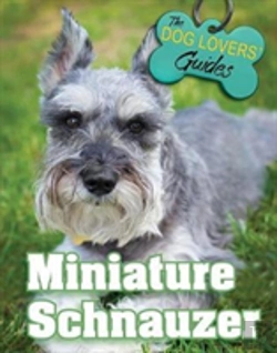 Bertrand.pt - Miniature Schnauzer