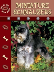 Miniature Schnauzer