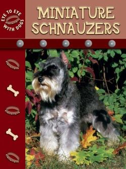 Bertrand.pt - Miniature Schnauzer