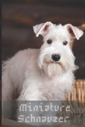 Miniature Schnauzer