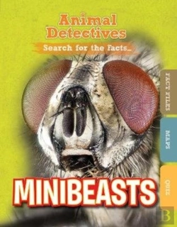 Bertrand.pt - Minibeasts