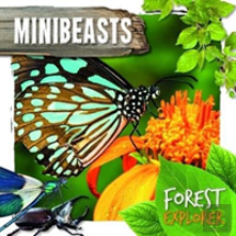 Minibeasts