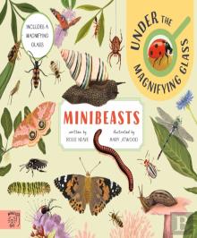 Minibeasts: Under The Magnifying Glass