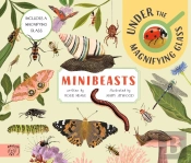 Minibeasts: Under The Magnifying Glass