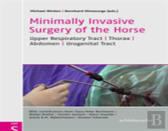 Minimally Invasive Surgery Of The Horse