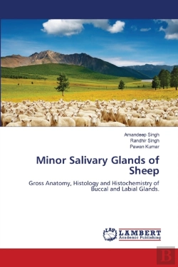 Bertrand.pt - Minor Salivary Glands Of Sheep