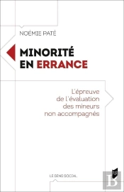 Minorité En Errance : L'Épreuve De L'Évaluation Des Mineurs Non Accompagnés