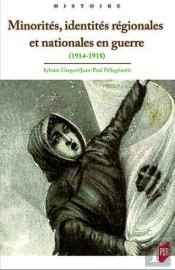 Minorités, Identités Régionales Et Nationales En Guerre ; 1914-1918