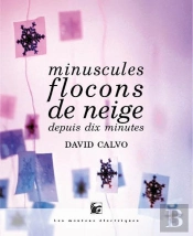 Minuscules Flocons De Neige Depuis Dix Minutes