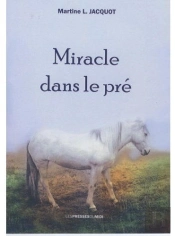 Miracle Dans Le Pré