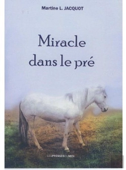 Bertrand.pt - Miracle Dans Le Pré