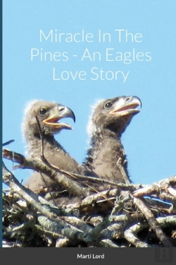 Bertrand.pt - Miracle In The Pines - An Eagles Love St
