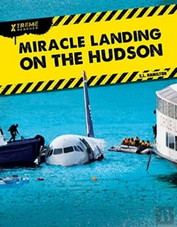 Bertrand.pt - Miracle Landing On The Hudson