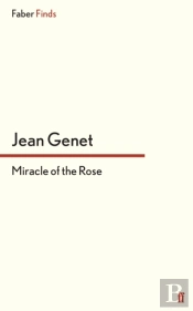 Miracle Of The Rose