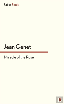 Bertrand.pt - Miracle Of The Rose