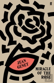Miracle Of The Rose