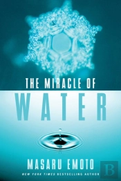 Miracle Of Water