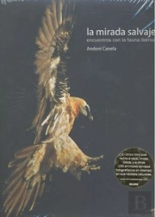 Mirada Salvaje