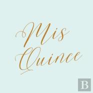 Mis Quince Guest Book, Quinceanera Guest Book, Mis Quince Anos Guest Book, Birthday Party Guest Book To Sign