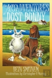 Misadventures Of Dust Bunny