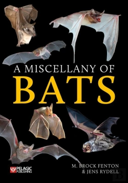 Bertrand.pt - Miscellany Of Bats