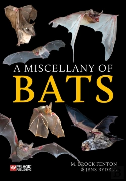 Bertrand.pt - Miscellany Of Bats