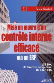 Mise En Oeuvre D'Un Contrôle Interne Efficace Via Un Erp