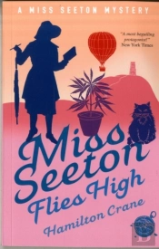 Miss Seeton Flies High