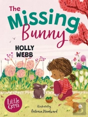 Missing Bunny