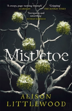 Bertrand.pt - Mistletoe