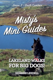 Misty'S Mini Guides