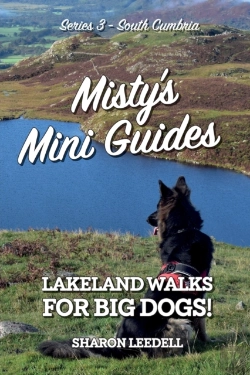 Bertrand.pt - Misty'S Mini Guides