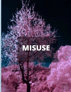 Bertrand.pt - Misuse