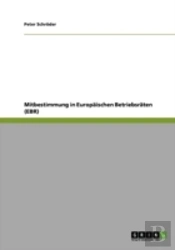 Mitbestimmung In Europaischen Betriebsraten (Ebr)