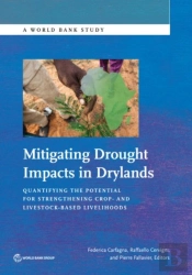 Mitigating Drought Impacts In Drylands