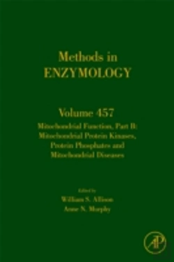 Bertrand.pt - Mitochondrial Function, Part B